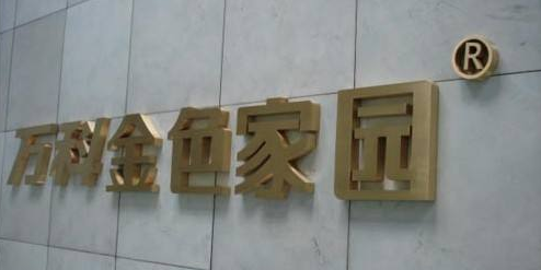 鈦金字公司外景墻案例5