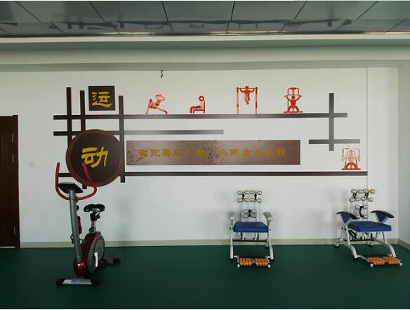 奧瑞斯體育功能室文化墻設計
