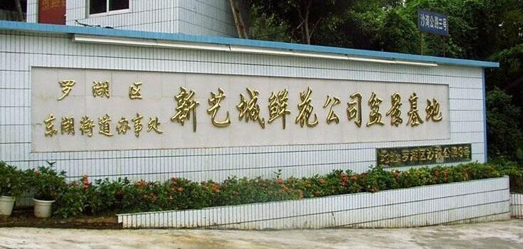 新藝城鮮花公司盆景基地鈦金字藍底背板效果圖