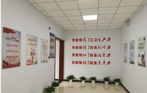 東南社區(qū)黨建文化墻制作