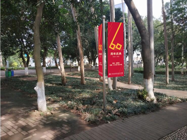 多向?qū)б暸浦谱餍Ч麍D