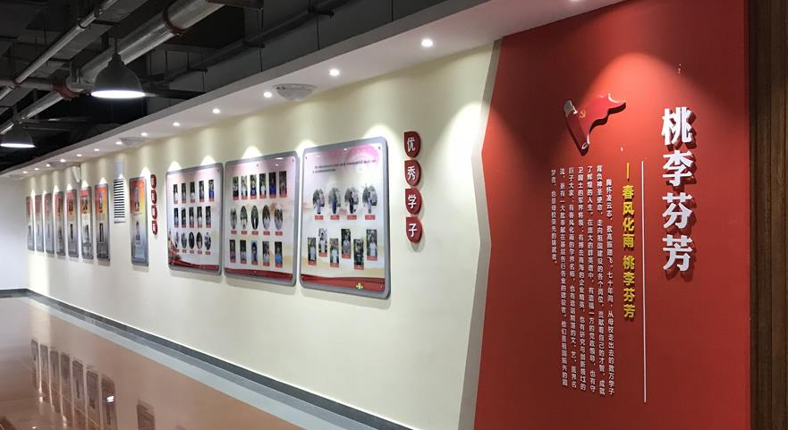黨建策劃文化墻制作公司案例